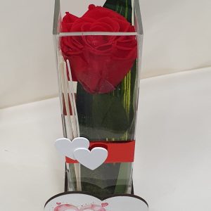 Vaso in vetro rodato con rosa rossa grande a gambo lungo stabilizzata